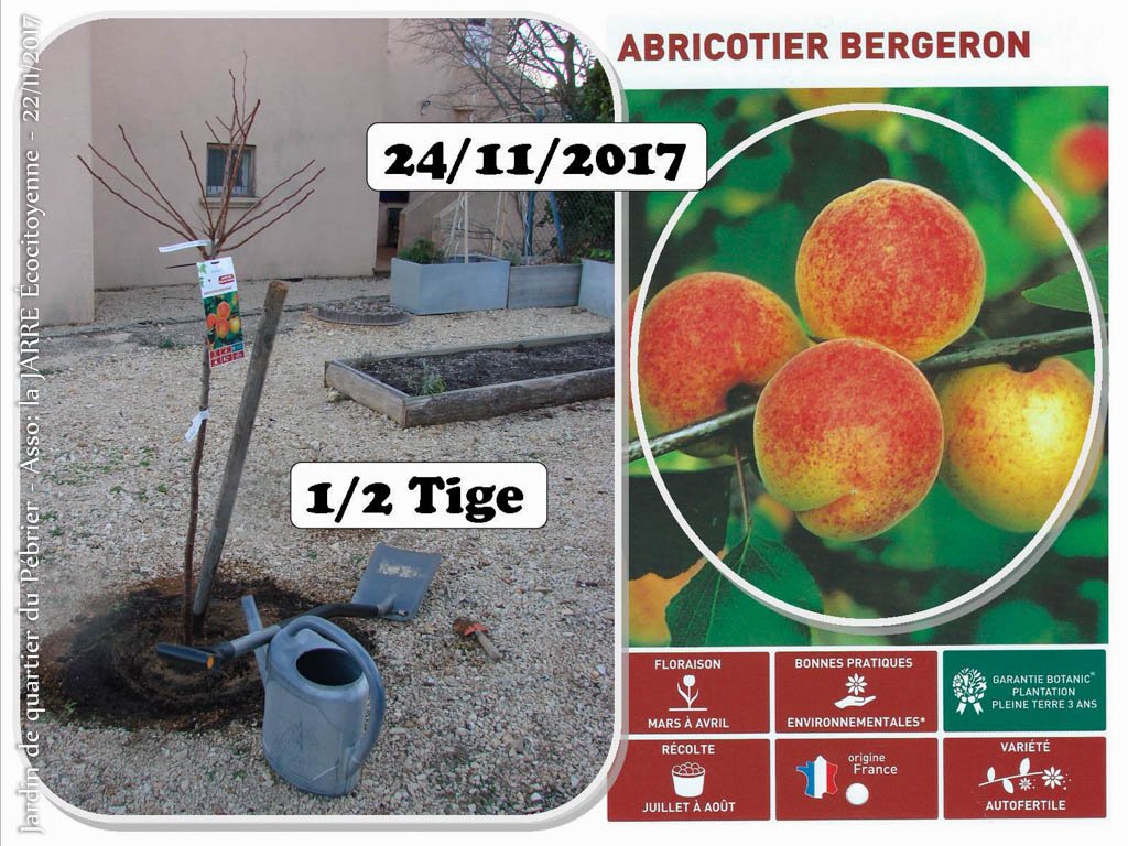 botanic® : -50% sur la pépinière (Black Friday)
