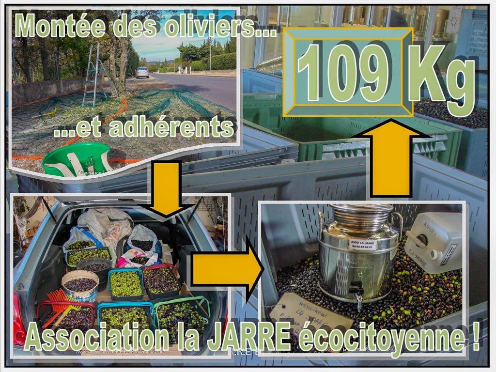 Récolte des olives 2017 (deuxième semaine) : 109 KG donne 20 litres d&rsquo;huile !