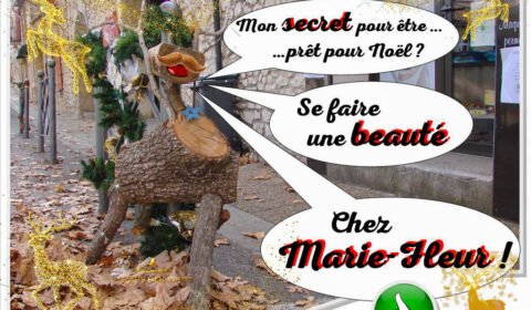 Le secret de beauté du renne de noël chez Marie-fleur à Rochefort du Gard - Association la Jarre écocitoyenne
