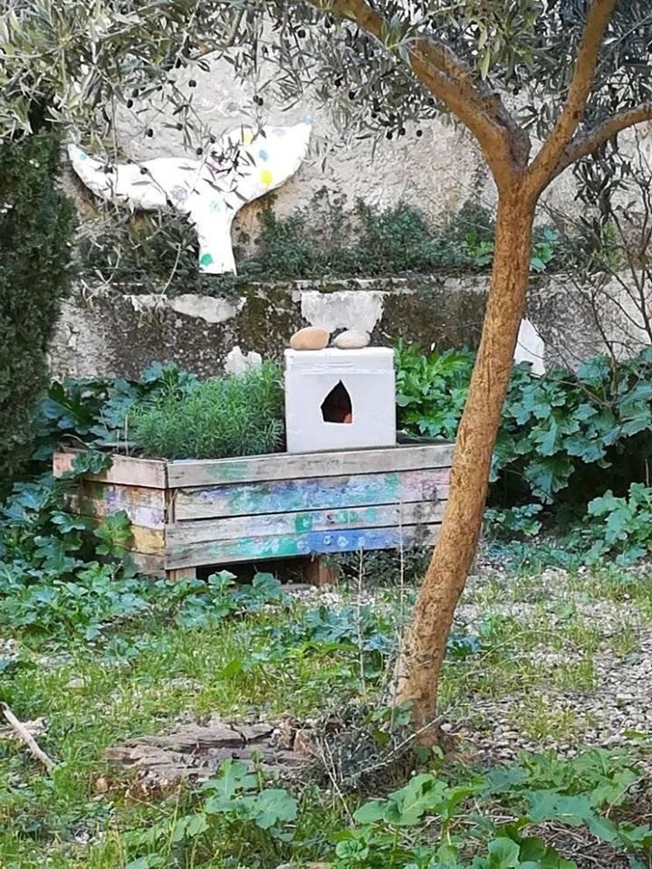 Mis en place des cabanes pour chats