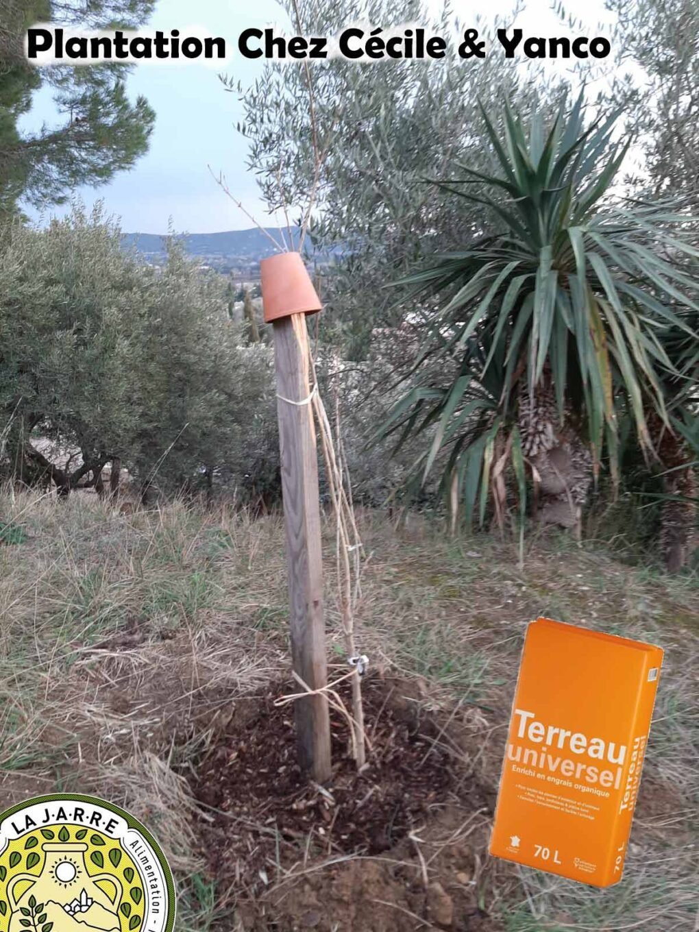Plantation chez Cécile et Yanco avec du terreau offert par l'association La JARRE de Rochefort du Gard