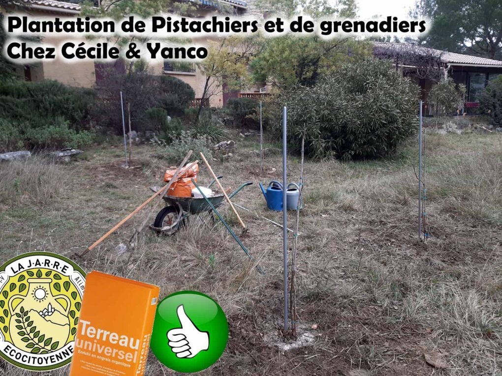 Plantation chez Cécile et Yanco de granadiers fruits et de pistachiers avec du terreau offert par l'association La JARRE de Rochefort du Gard