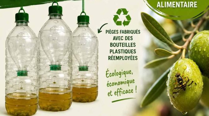 Pack de 3 pièges + Attractif alimentaire : 5€. Renseignement au 06.52.33.89.70